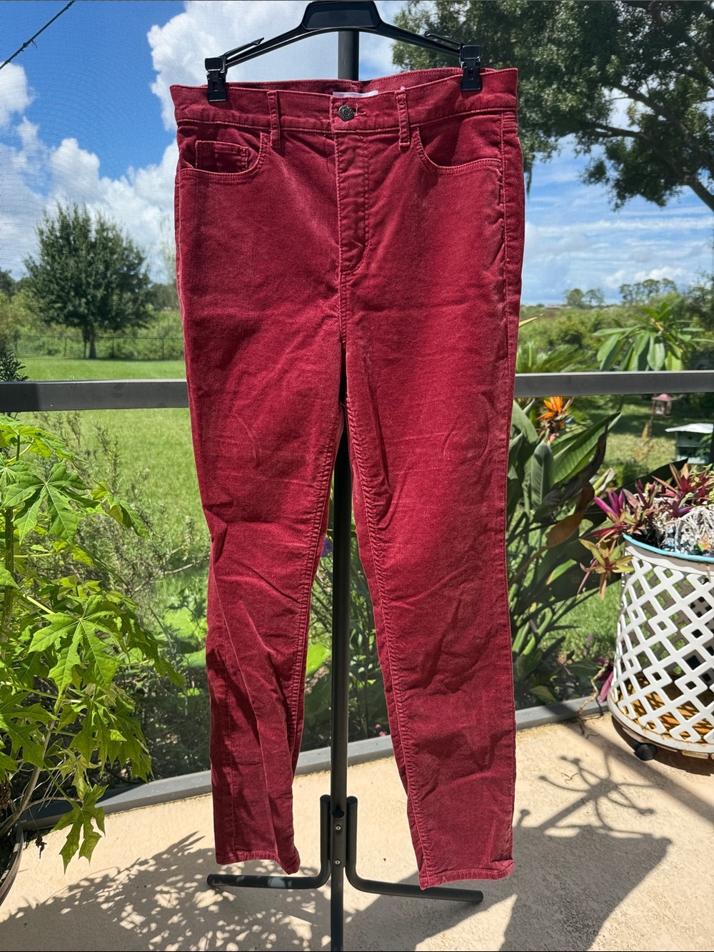 LOFT Women's Skinny Jeans in Burgundy